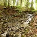 P1010704_resize_resize