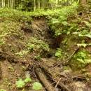 P1010705_resize_resize