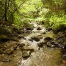 P1010707_resize_resize