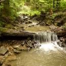 P1010708_resize_resize