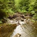 P1010709_resize_resize