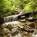 P1010710_resize_resize