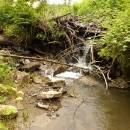 P1010713_resize_resize