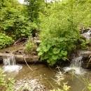 P1010714_resize_resize