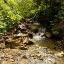 P1010717_resize_resize