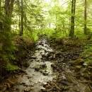 P1010758_resize_resize