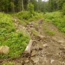 P1010768_resize_resize