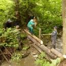 P1010771_resize_resize