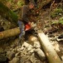 P1010786_resize_resize