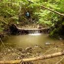 P1010797_resize_resize