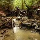 P1010798_resize_resize