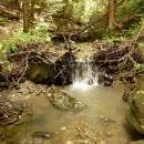 P1010799_resize_resize