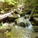 P1010800_resize_resize