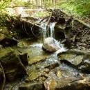 P1010801_resize_resize