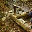 P1010818_resize_resize