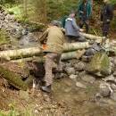 P1010819_resize_resize