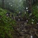 P1010866_resize_resize