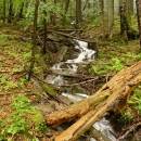 P1010873_resize_resize