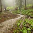 P1010875_resize_resize