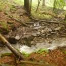 P1010884_resize_resize