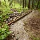 P1010893_resize_resize