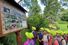 20220809_093425_resize