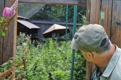 20220809_094013_resize