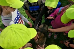 20220809_094444_resize