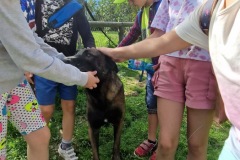 20220809_094618_resize