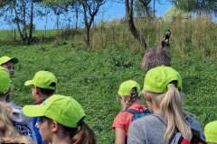 20220809_094708_resize