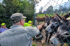 20220809_094911_resize