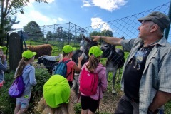 20220809_094917_resize