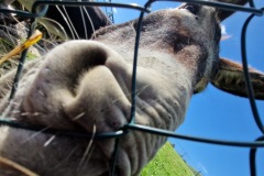 20220809_095040_resize