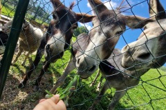 20220809_095057_resize