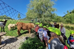 20220809_095154_resize