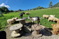 20220809_095201_resize