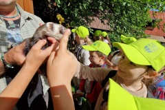 20220809_095756_resize