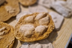 20220809_104217_resize