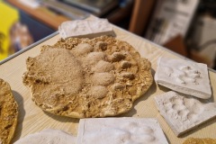 20220809_104223_resize