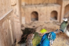 20220811_101618_resize