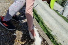 20220811_101632_resize