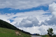 20220811_113751_resize