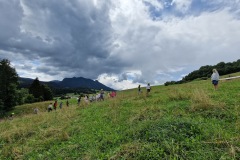 20220811_142535_resize