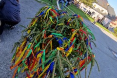 20230430_175746_resize