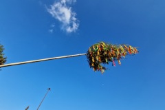 20230430_180329_resize