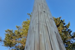 20230430_185048_resize