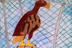 Slávnostné vyhodnotenie súťaže MAS