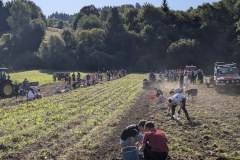 PXL_20260908_073102797