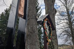 PXL_20251027_090413014