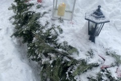 image_50449409_resize